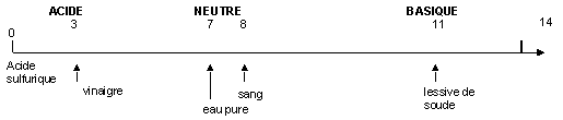 Echelle des PH