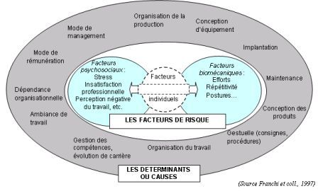 exemple de prevention des tms