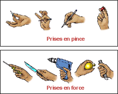  Prises en pince / Prises en force