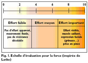  Echelle d'&eacute;valuation pour la force