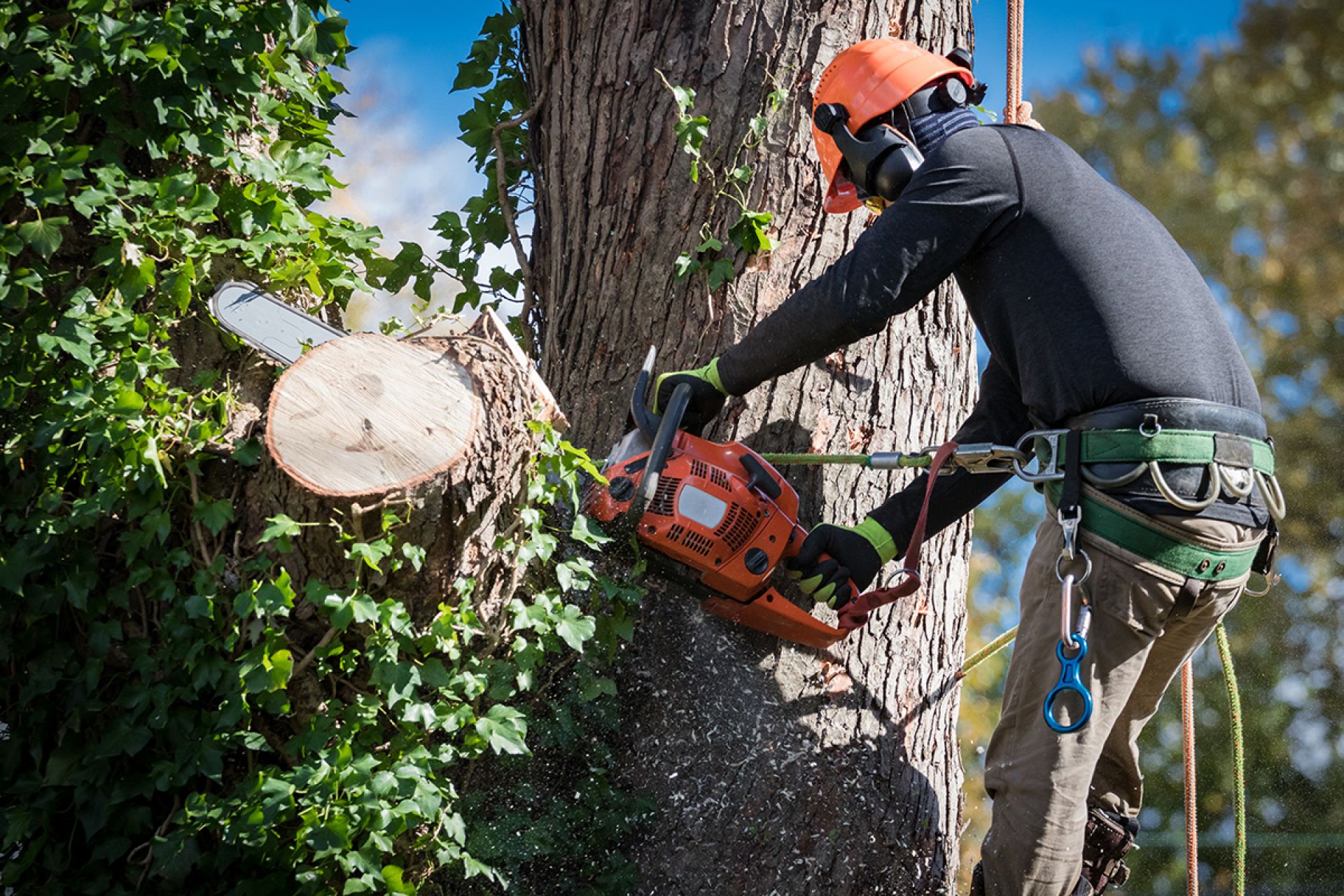 Travail en extérieur et prévention des piqûres de tiques